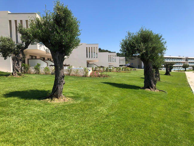 5 Star Hotel, Halkidiki, Bungalows